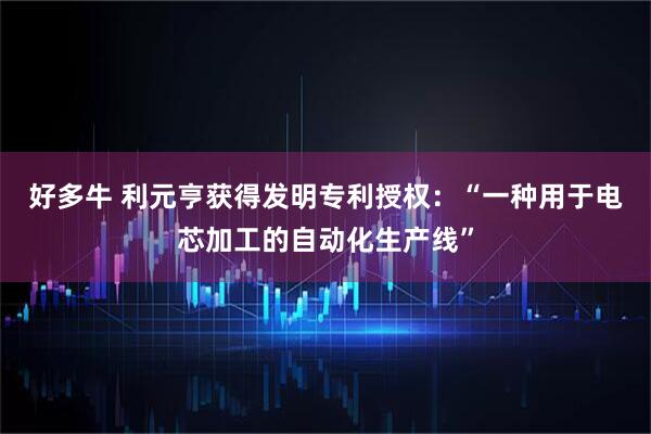 好多牛 利元亨获得发明专利授权：“一种用于电芯加工的自动化生产线”