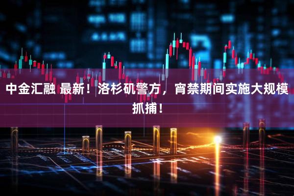 中金汇融 最新！洛杉矶警方，宵禁期间实施大规模抓捕！