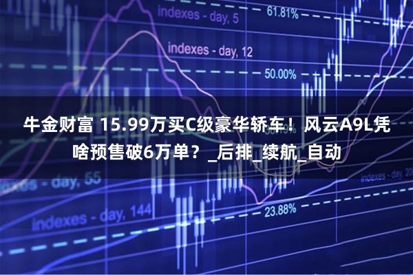 牛金财富 15.99万买C级豪华轿车！风云A9L凭啥预售破6万单？_后排_续航_自动