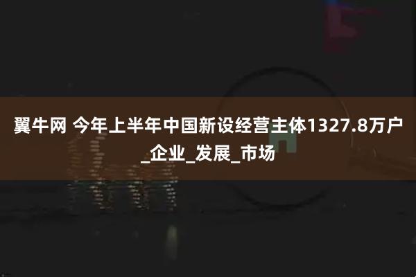 翼牛网 今年上半年中国新设经营主体1327.8万户_企业_发展_市场